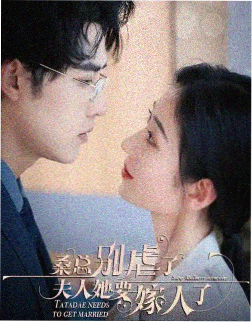 边境邮差 温情剧集在线观看